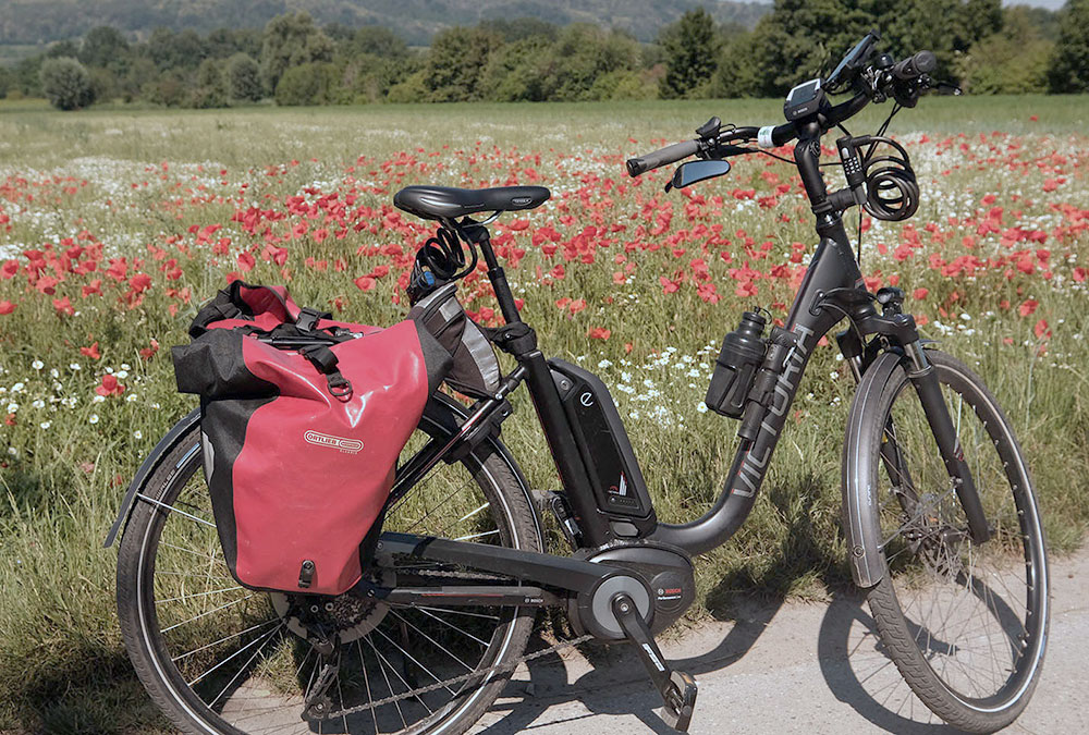 Kraut und Rüben RadwegExperience the Palatinate on a saddle